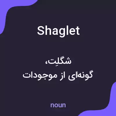 معنی shaglet به فارسی معنی shaglet به فارسی