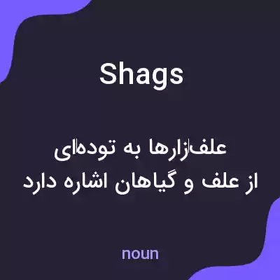 معنی shags به فارسی