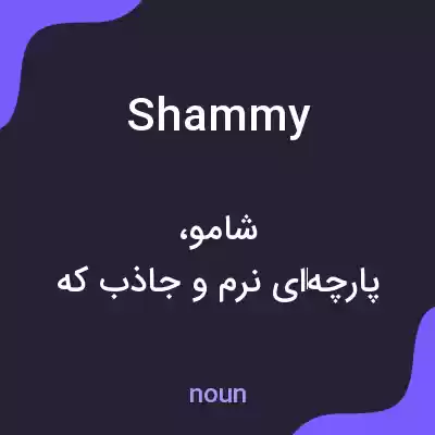 معنی shammy به فارسی