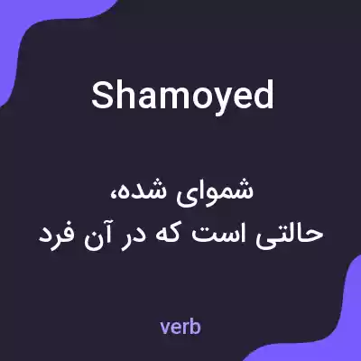 معنی shamoyed به فارسی معنی shamoyed به فارسی