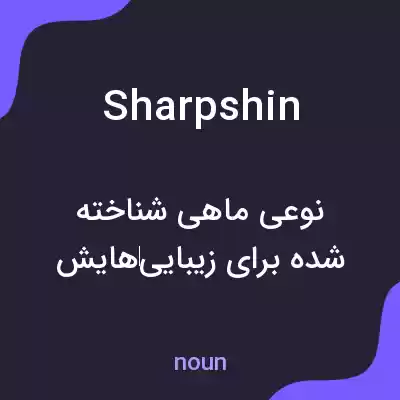 معنی sharpshin به فارسی معنی sharpshin به فارسی
