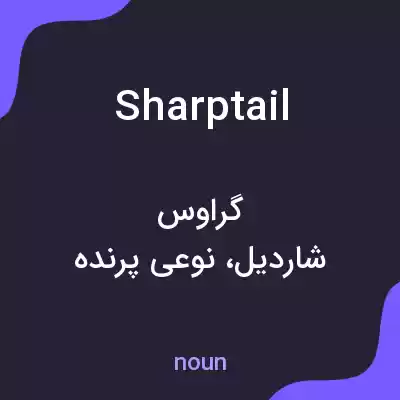 معنی sharptail به فارسی معنی sharptail به فارسی