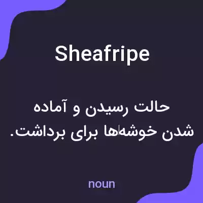 معنی sheafripe به فارسی معنی sheafripe به فارسی