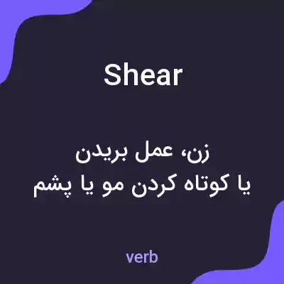 معنی shear به فارسی معنی shear به فارسی