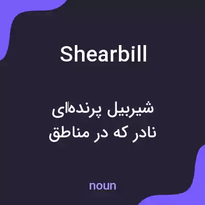 معنی shearbill به فارسی معنی shearbill به فارسی