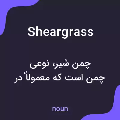 معنی sheargrass به فارسی معنی sheargrass به فارسی