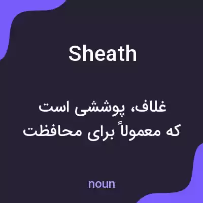 معنی sheath به فارسی معنی sheath به فارسی