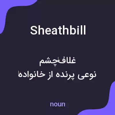 معنی sheathbill به فارسی معنی sheathbill به فارسی