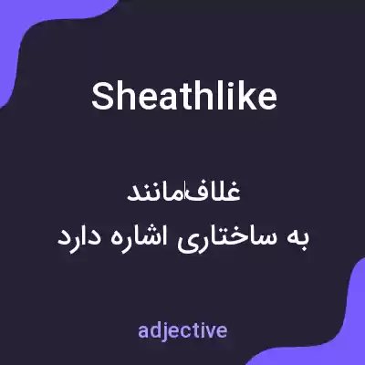 معنی sheathlike به فارسی معنی sheathlike به فارسی