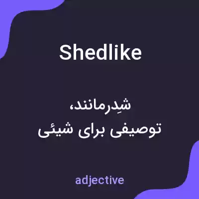 معنی shedlike به فارسی معنی shedlike به فارسی
