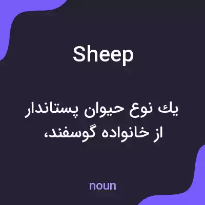 معنی sheep به فارسی معنی sheep به فارسی