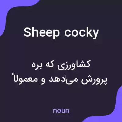 معنی sheep cocky به فارسی معنی sheep cocky به فارسی