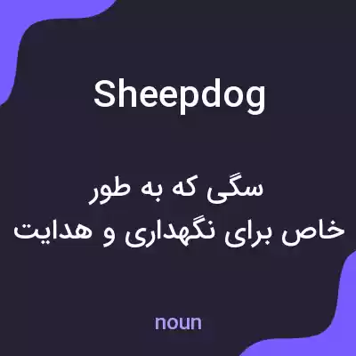 معنی sheepdog به فارسی معنی sheepdog به فارسی