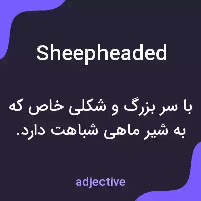 معنی sheepheaded به فارسی معنی sheepheaded به فارسی