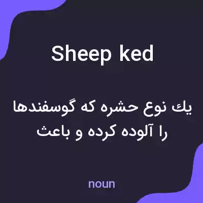 معنی sheep ked به فارسی معنی sheep ked به فارسی