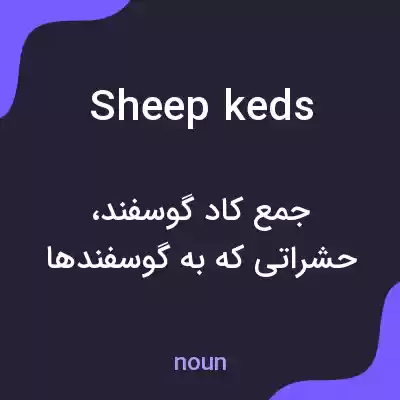 معنی sheep keds به فارسی معنی sheep keds به فارسی