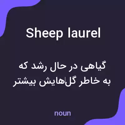 معنی sheep laurel به فارسی معنی sheep laurel به فارسی