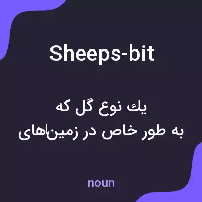 معنی sheeps-bit به فارسی