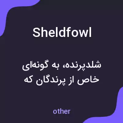 معنی sheldfowl به فارسی معنی sheldfowl به فارسی