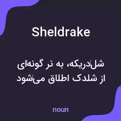 معنی sheldrake به فارسی معنی sheldrake به فارسی