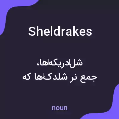 معنی sheldrakes به فارسی معنی sheldrakes به فارسی