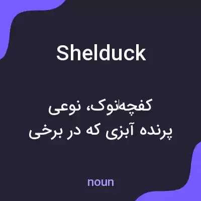 معنی shelduck به فارسی معنی shelduck به فارسی