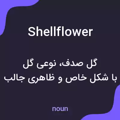 معنی shellflower به فارسی معنی shellflower به فارسی
