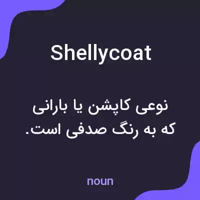 معنی shellycoat به فارسی معنی shellycoat به فارسی