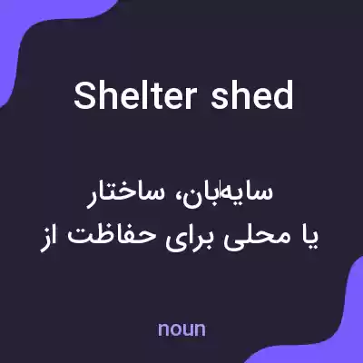 معنی shelter shed به فارسی معنی shelter shed به فارسی