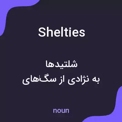معنی shelties به فارسی معنی shelties به فارسی