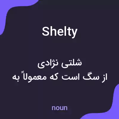 معنی shelty به فارسی معنی shelty به فارسی