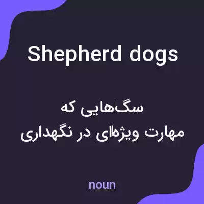 معنی shepherd dogs به فارسی معنی shepherd dogs به فارسی