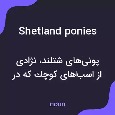 معنی shetland ponies به فارسی معنی shetland ponies به فارسی