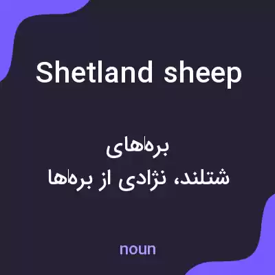 معنی shetland sheep به فارسی معنی shetland sheep به فارسی