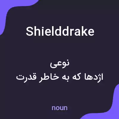 معنی shielddrake به فارسی معنی shielddrake به فارسی