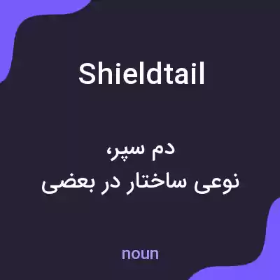 معنی shieldtail به فارسی معنی shieldtail به فارسی