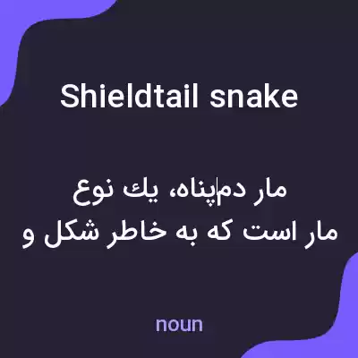 معنی shieldtail snake به فارسی معنی shieldtail snake به فارسی