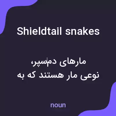معنی shieldtail snakes به فارسی معنی shieldtail snakes به فارسی