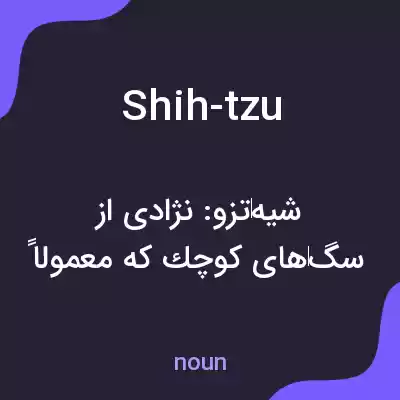 معنی shih-tzu به فارسی معنی shih-tzu به فارسی