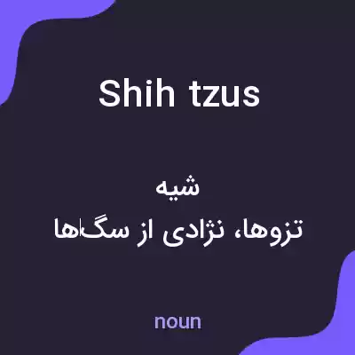 معنی shih tzus به فارسی معنی shih tzus به فارسی