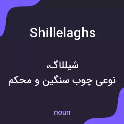 معنی shillelaghs به فارسی معنی shillelaghs به فارسی