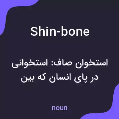 معنی shin-bone به فارسی معنی shin-bone به فارسی