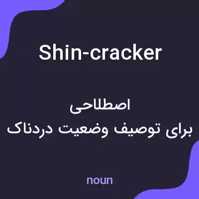 معنی shin-cracker به فارسی معنی shin-cracker به فارسی