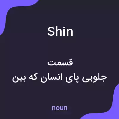 معنی shin به فارسی معنی shin به فارسی