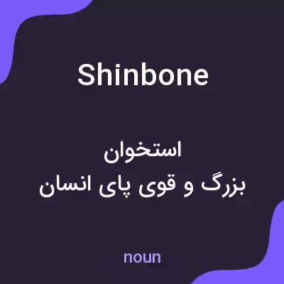 معنی shin bone به فارسی معنی shin bone به فارسی