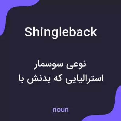 معنی shingleback به فارسی معنی shingleback به فارسی