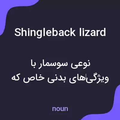 معنی shingleback lizard به فارسی معنی shingleback lizard به فارسی