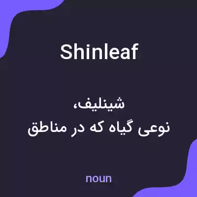 معنی shinleaf به فارسی معنی shinleaf به فارسی