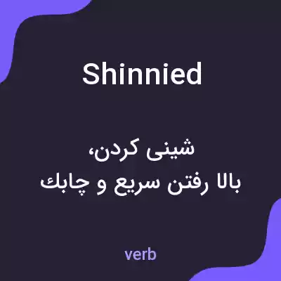 معنی shinnied به فارسی معنی shinnied به فارسی
