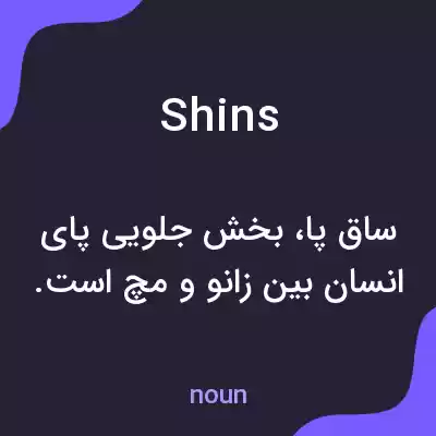 معنی shins به فارسی معنی shins به فارسی